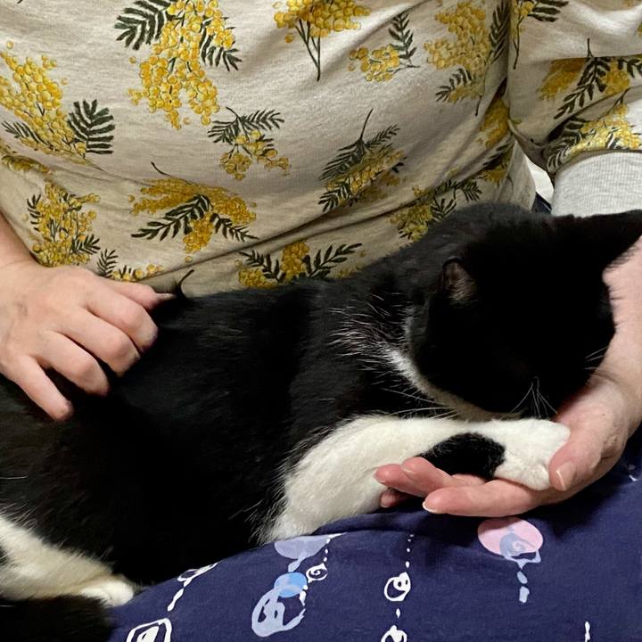 7e7d4592 9d97 4a73 bb6e 449d1a5dde58 1634820709927