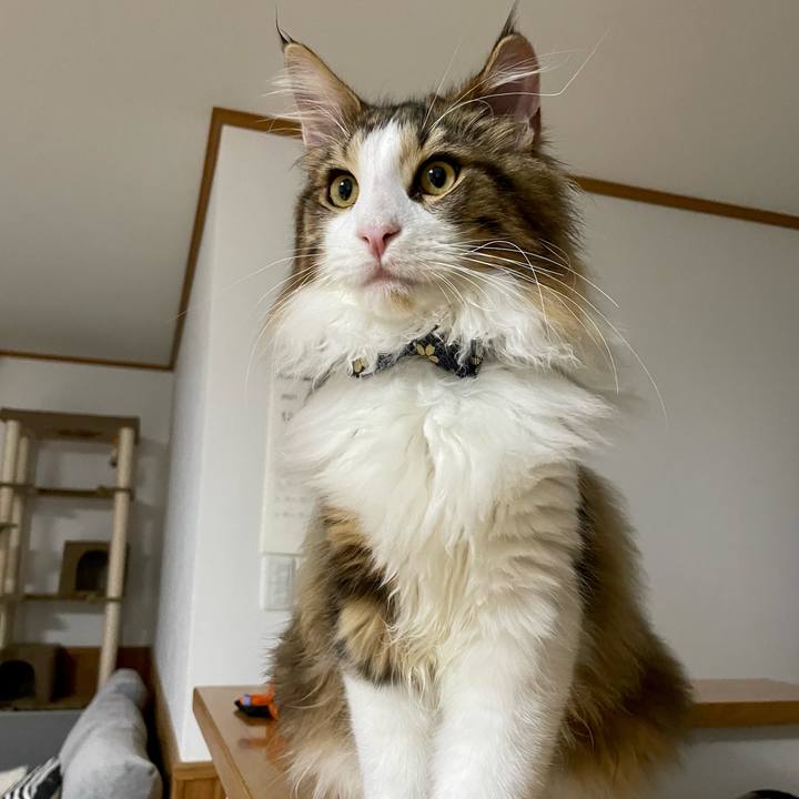 7e7d6a88 1025 4a0e 841b af27bf383998 1640337694055