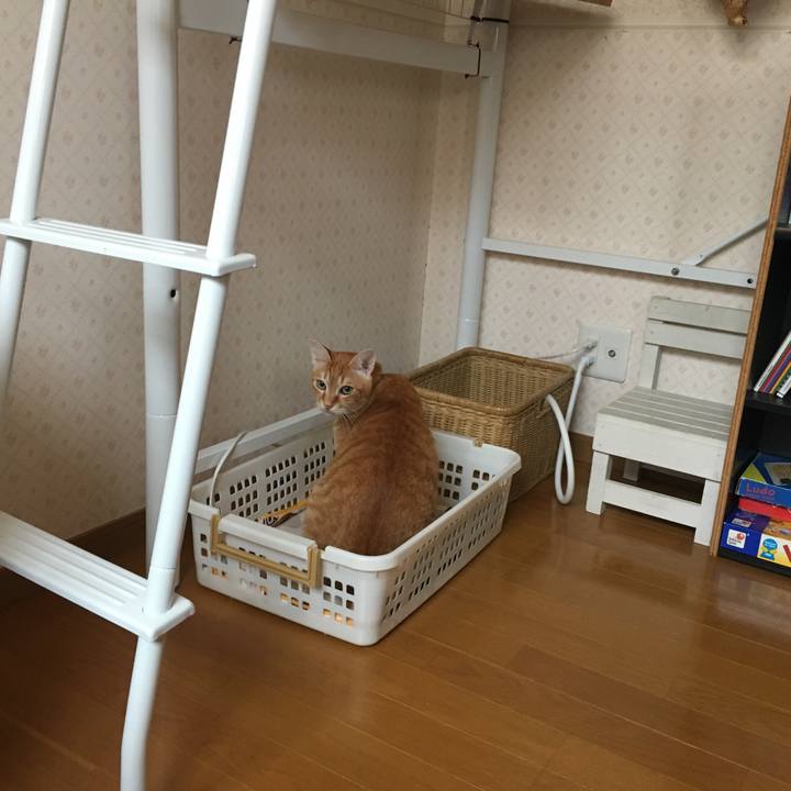 7e7d7f3d d084 4e38 8356 36fdc7f3689a 1553988642987