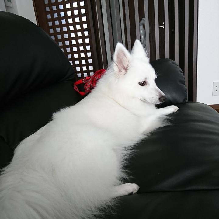 7e7d9df0 841a 441b 9928 092fc91bf971 1531463794785