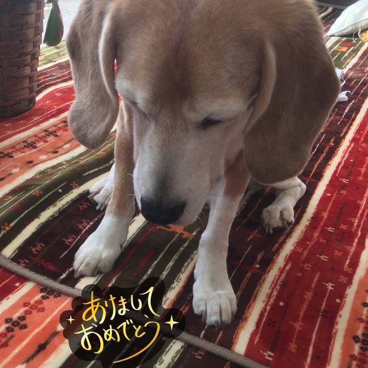 7e7da4e0 60d0 4013 968a 1eb840f7d9b7 1515120805047