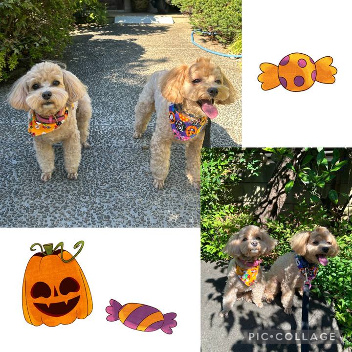 7e7db4bc a2a6 4160 9fb5 38a74e4ae1ba 1697961876045