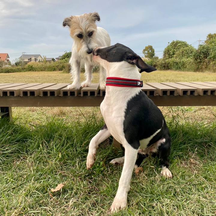 7e7dcb2a 8e2f 435f 91f3 92b11c67c888 1700313933266