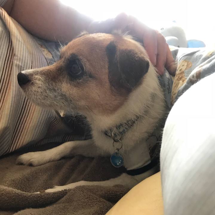 7e7de81f ab0d 4c2a 9429 f552daf82b10 1535158782143