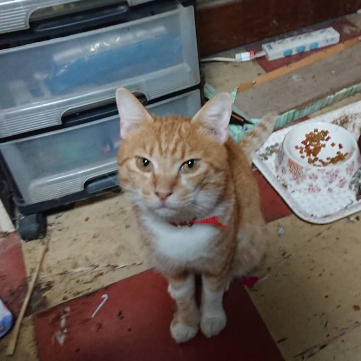 7e7e11f3 c27e 42a2 b7f8 725fee37c6b8 1568775134568