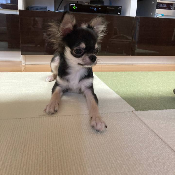 7e7e2a8e 8497 412a 904a a27cf275fd6c 1598270655252