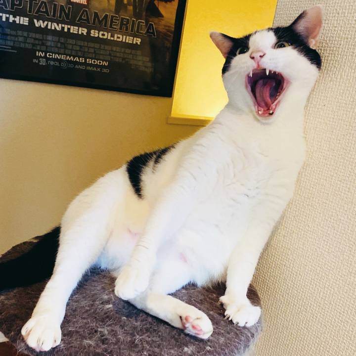 7e7e30c7 c518 4921 8874 b062ca141a1e 1595839681111