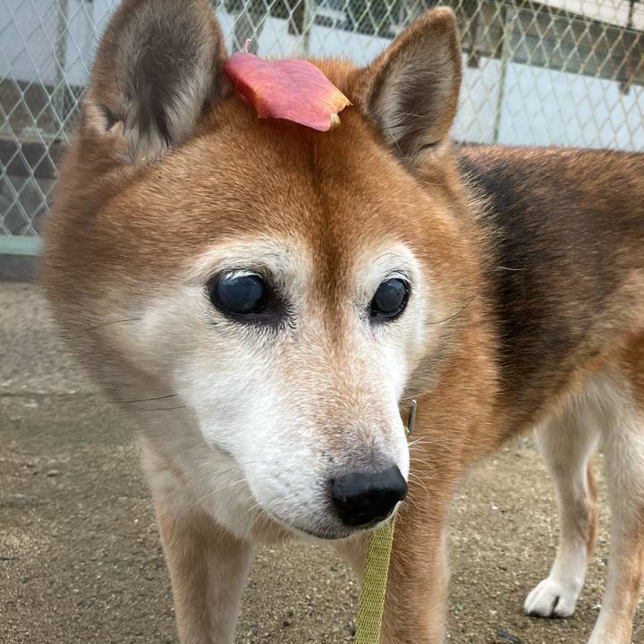 7e7e914d 19cf 4ee6 822a f076105732b4 1699762535108