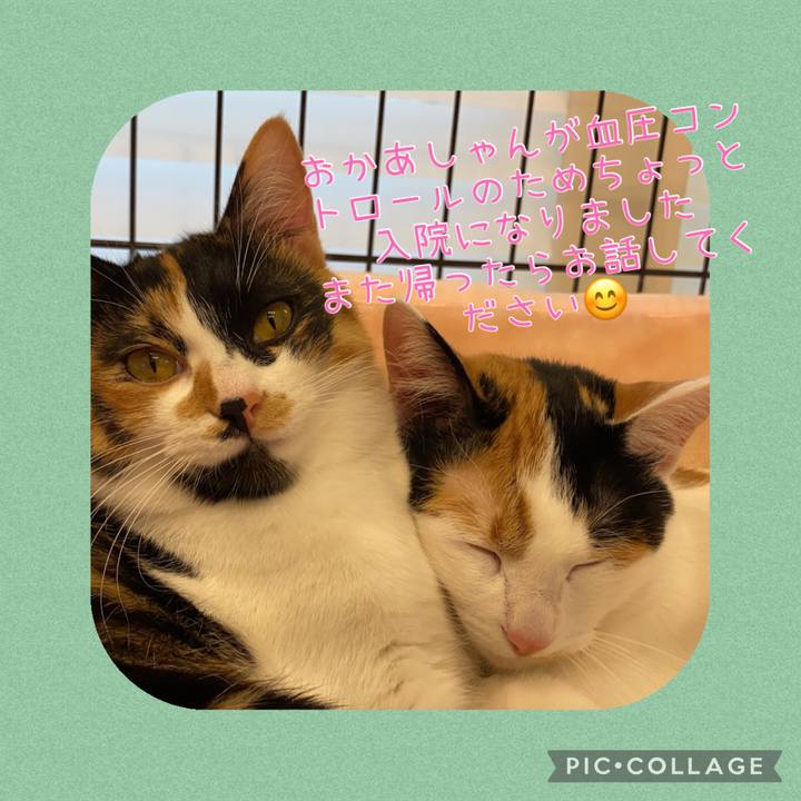 7e7e943f 3cfe 4428 ae69 adc2567a77b5 1770016830918