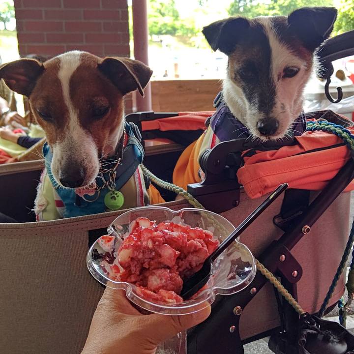 7e7ea4c6 1456 4cce 8145 85fb793c28b9 1654427970232