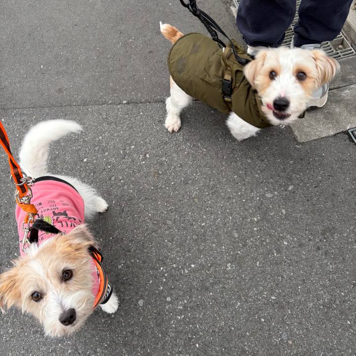 7e7ebbff 15b2 4aed 91d1 9f95490531f5 1773702379433