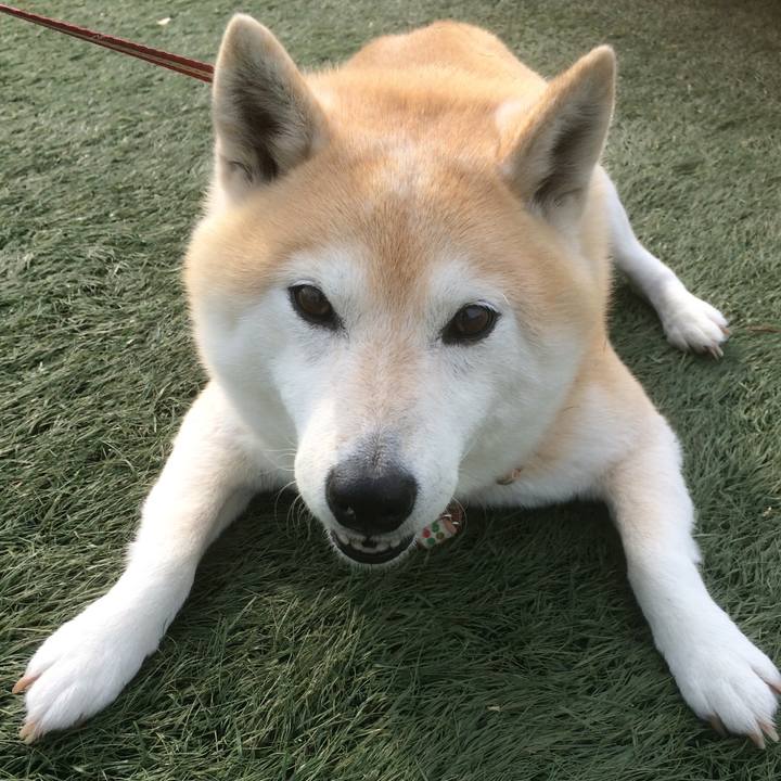 7e7f22b5 c5f0 4bad b042 afdc2e188080 1582557011828