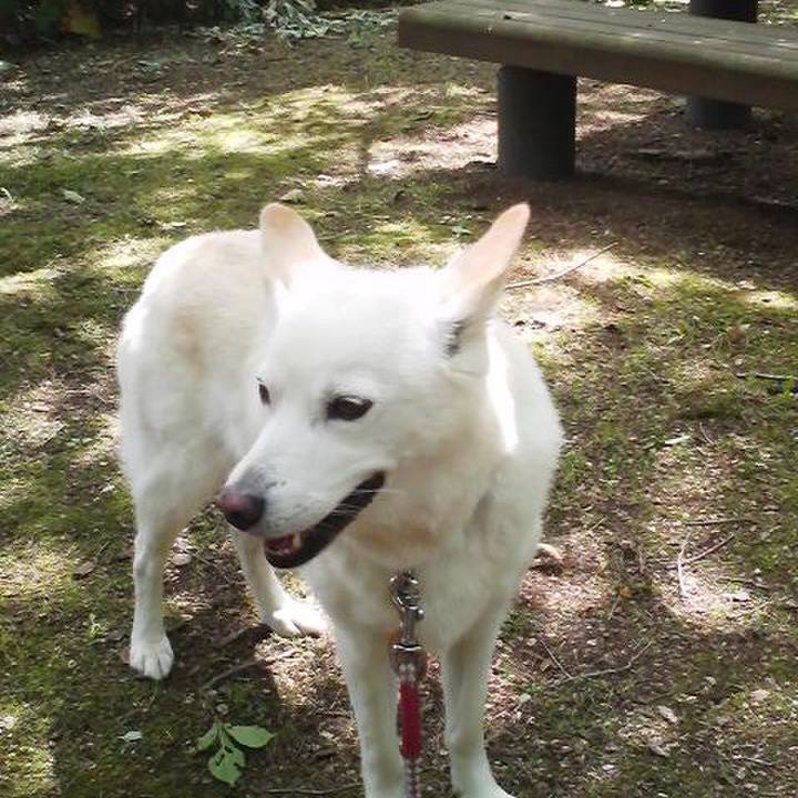 7e7f2920 fbcb 42ba 8ac5 880fb13ba985 1527940828369