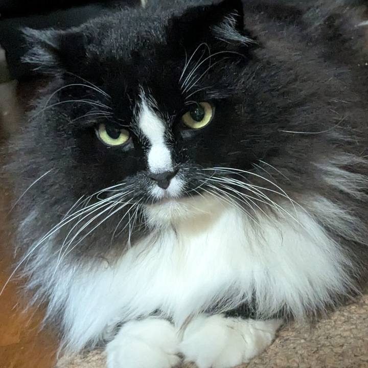 7e7f31bc 381b 45d2 a935 ed1fa7617613 1756644680199