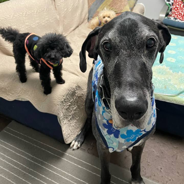 7e7fa741 08d5 4882 9cc4 60cfde380029 1621377445357