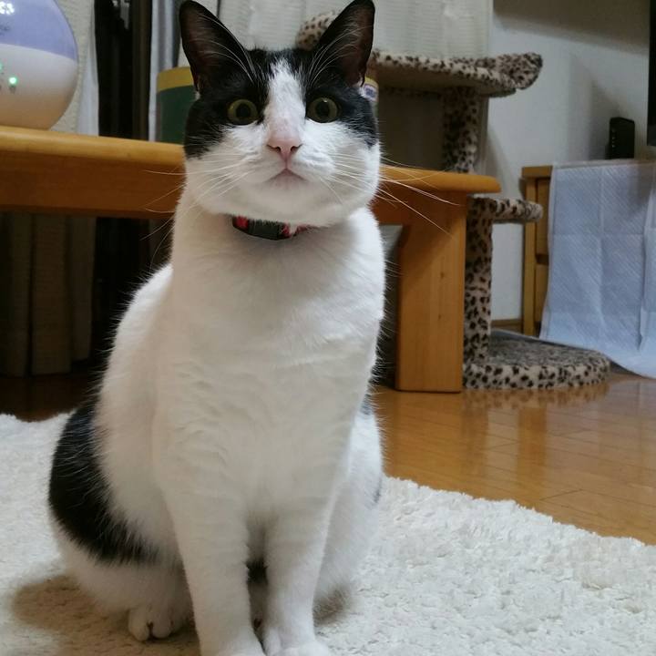 7e7fc2ee 9a5b 4d8f ba27 c22c617a24ce 1556665725173