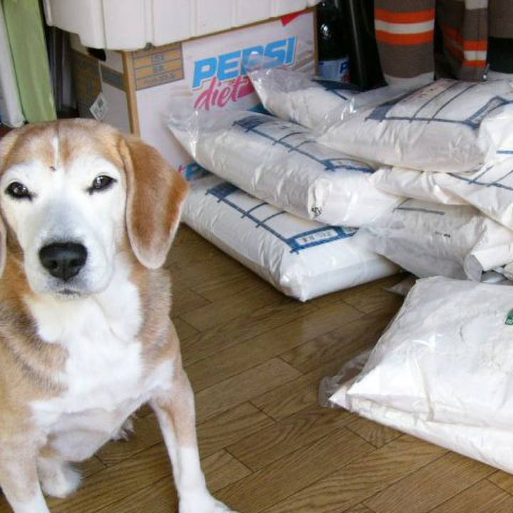 7e7fc675 27b8 4238 8a7e 72b76047d7e7 1660608914990