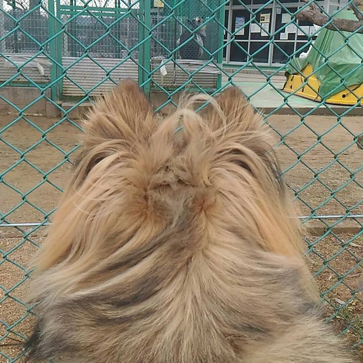 7e807f94 10fb 4d75 b4eb 79dd7f5878f3 1517101999978