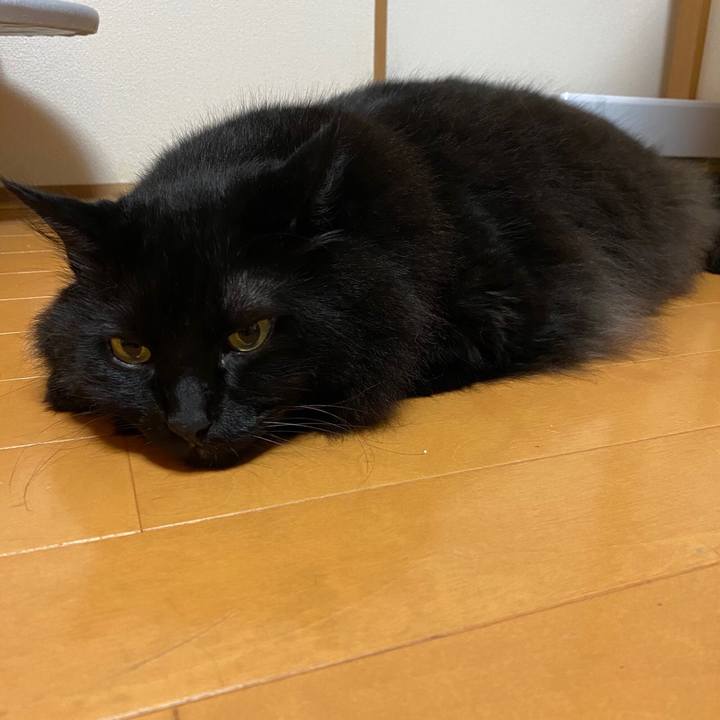 7e809b84 0620 40e2 823e 4e5627fbda66 1598883314550