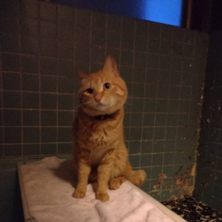 7e80a25b fdb2 447d 8cee 80a34b980b6c 1679649667618