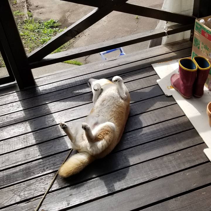 7e80b777 2df8 43db 9c00 32711423ae6d 1686352295440