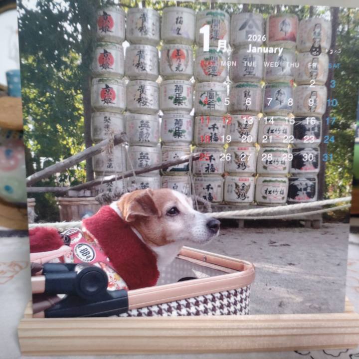 7e80efa0 81e5 4eec 83fc 849c8eb3073e 1767401706449