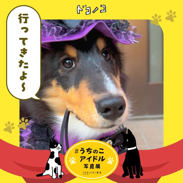 7e814005 b642 4345 9645 144c6ed27fc7 1761340613193