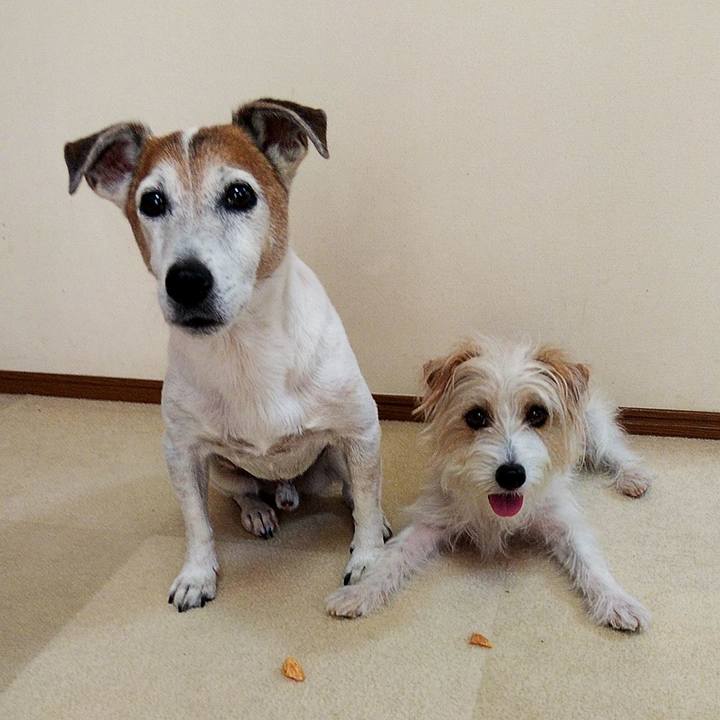 7e8141d2 c90f 425a a463 90378111cc8f 1565403888724