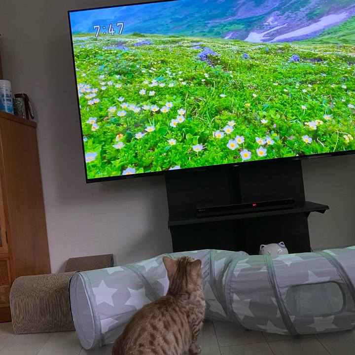 7e81852e 346c 468c a156 38930f4f8bc4 1634424746673