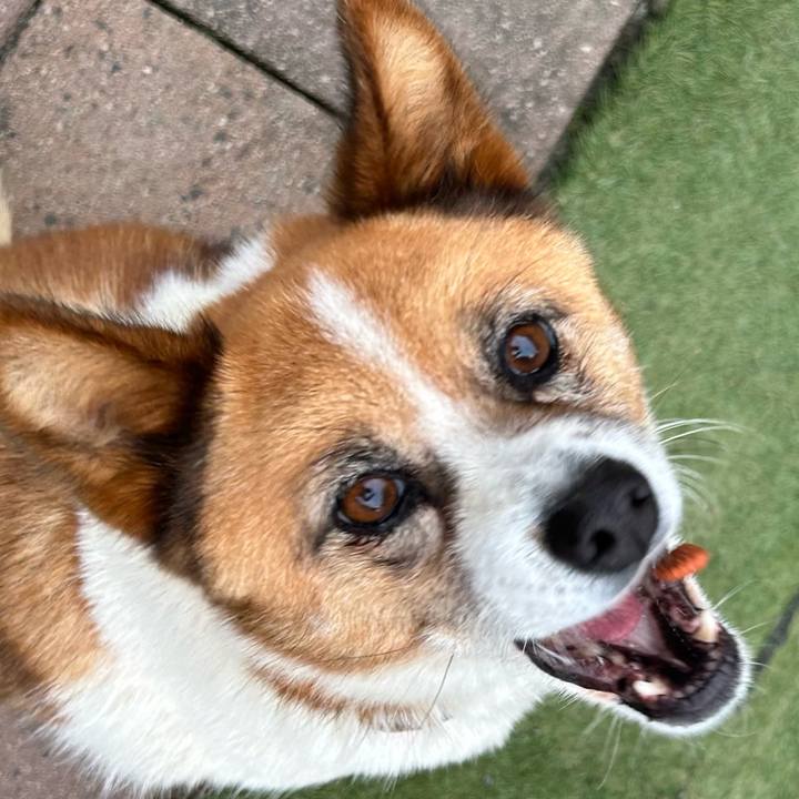 7e81c8b3 0d21 4c09 ae5a 0d1757a4f0a7 1762646290293