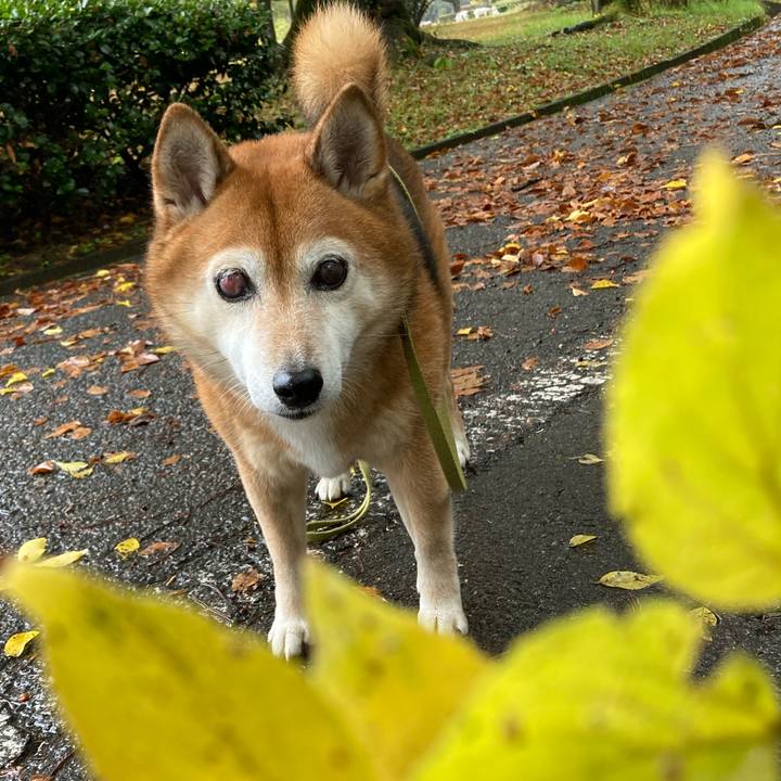 7e81ca89 62c6 4bdc 9ca9 5c05afe34b0d 1668501919877