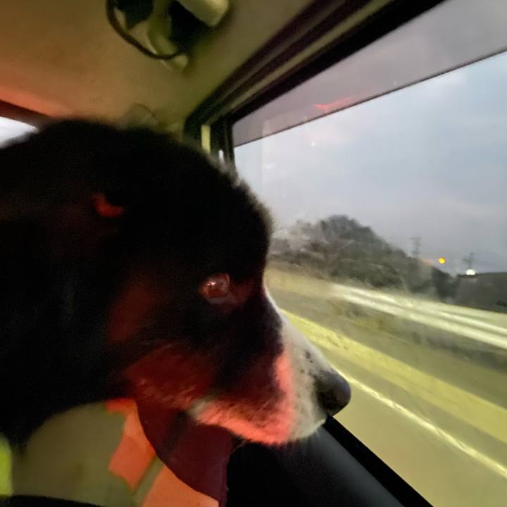 7e81dd1a f206 43a9 bae9 4325dc30036e 1674079255289