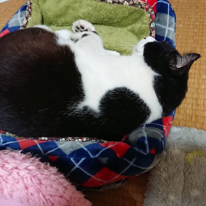 7e81e117 ba15 421d b049 0af907d0d450 1541340266888