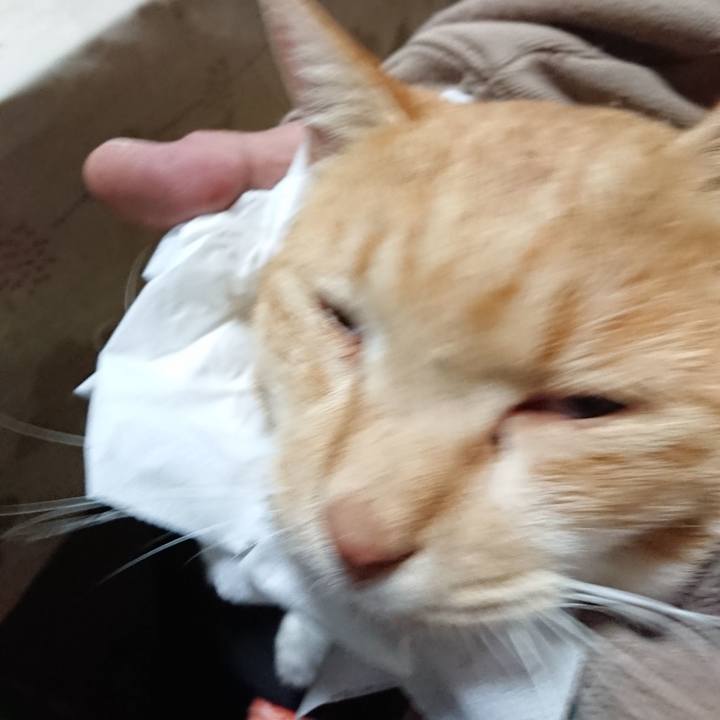 7e81f5c3 d59a 46c9 b42f be88c3c06ea0 1574548596692