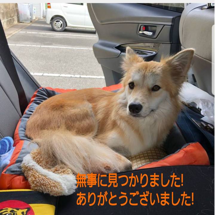 7e81fef8 3d55 413b 93dd 1c3ceec7b789 1542861108854