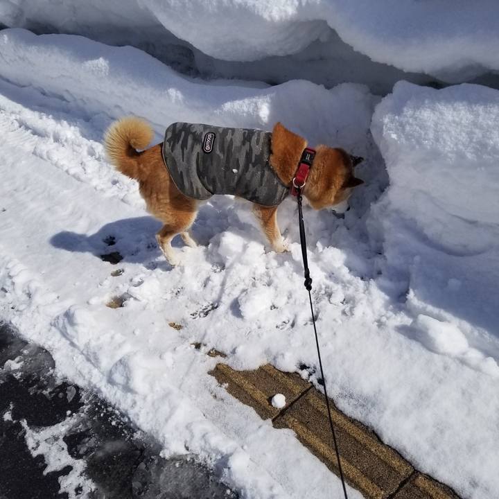 7e822dc3 192c 4332 a3b7 7c4919e1bc46 1739855977694