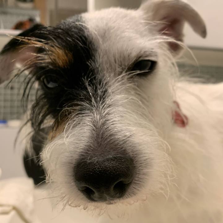 7e824693 c9ca 4ad8 ae91 609578d153db 1600936847339