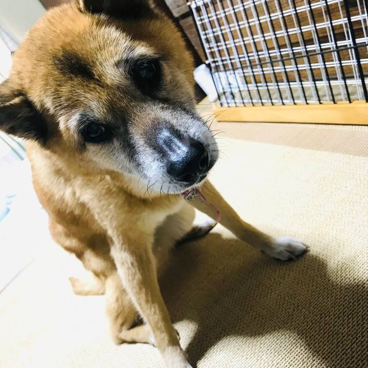 7e825009 f815 4b2f 8907 d36fc124c3b3 1555199289725