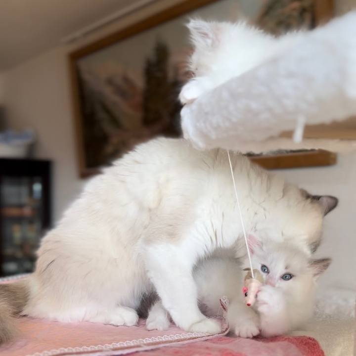 7e826092 a663 401f bffc 2599274ca1d7 1682334608823