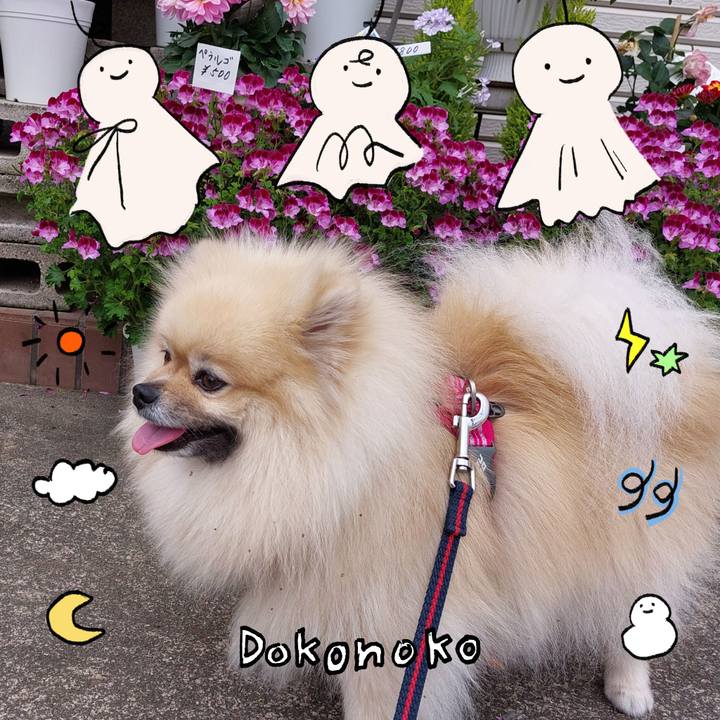 7e827d3e 2d6b 42f1 afb9 5e6c25cbc832 1749613612155