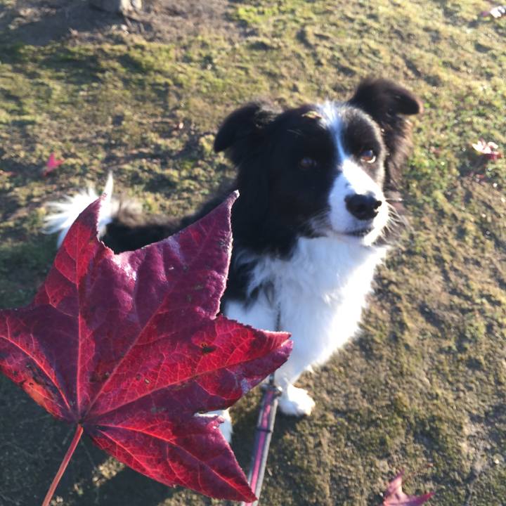 7e829c7c 7615 4094 826d e7144b9179de 1574983070064