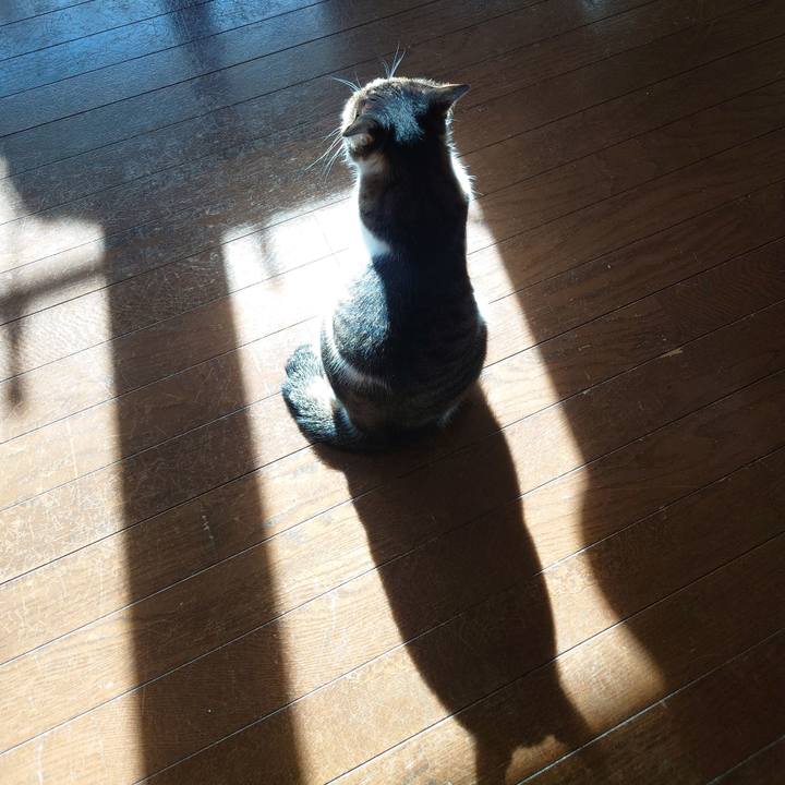 7e83041e d79d 4f50 ae7c 64d563351655 1764498433352