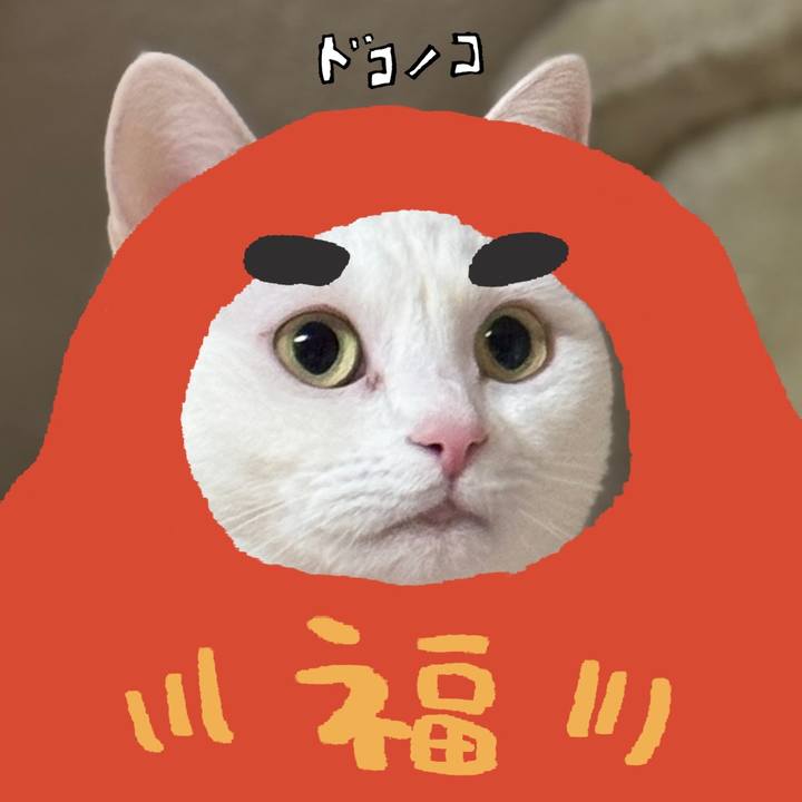 7e833e85 40f4 40b0 b0f5 11a238942f05 1771834127805