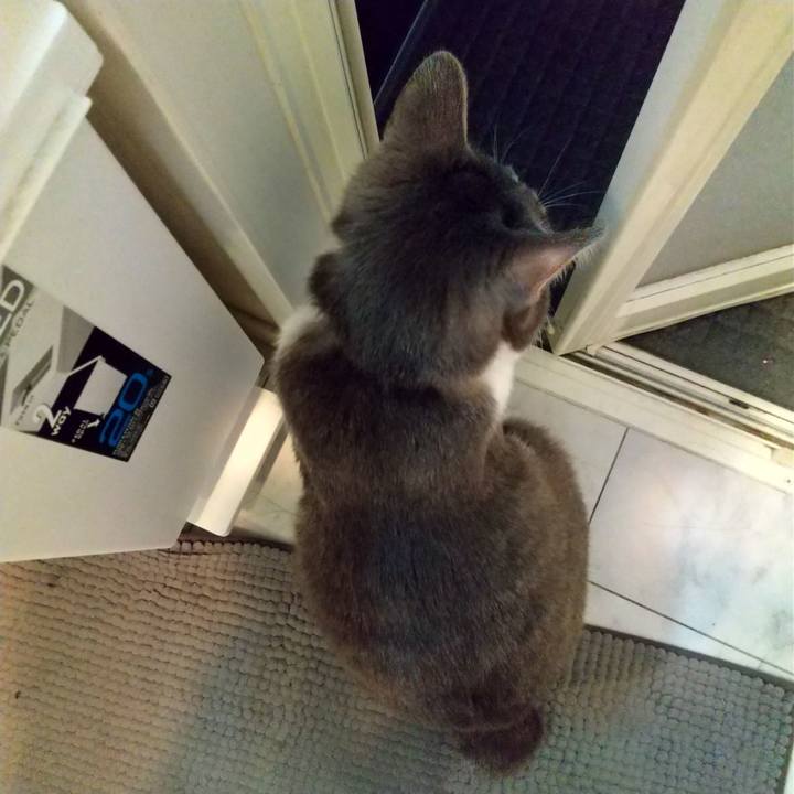 7e8354f1 fd6f 455a a248 6285fe5fe5c2 1616362610572