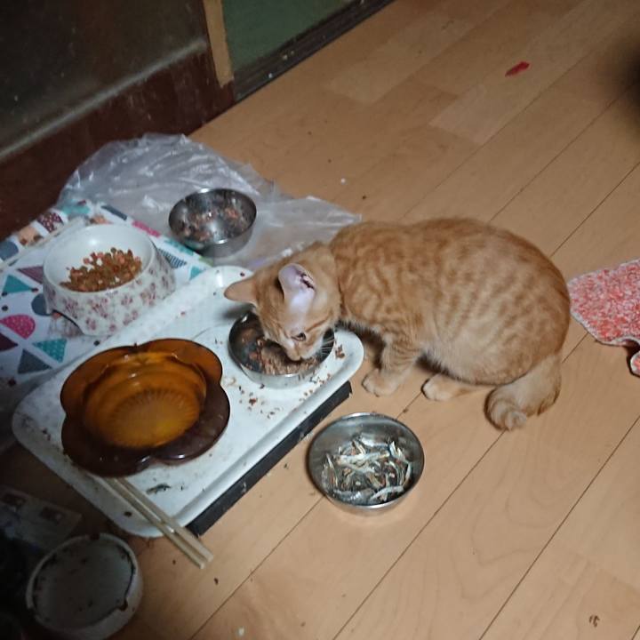 7e83601f 5f4e 4355 af8e 493c363f362f 1633466529513