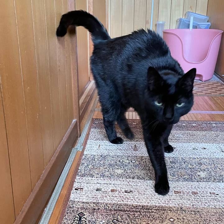 7e8379dd 084b 42ac be94 b1b64009faf8 1649210882287