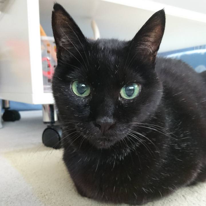 7e839537 36ac 4984 92c1 2eaf300612aa 1541717425652