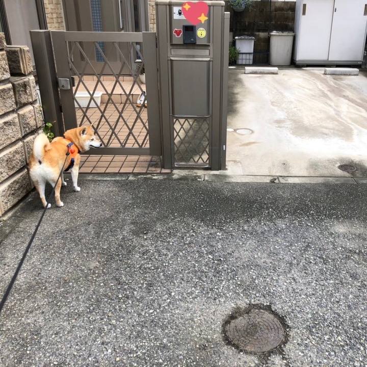 7e83c620 cbee 4bb1 87d9 46d06ac28549 1594859022590