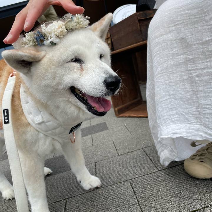 7e83da3d 66f5 43ae 8cf1 4954f8f609e6 1717303151457