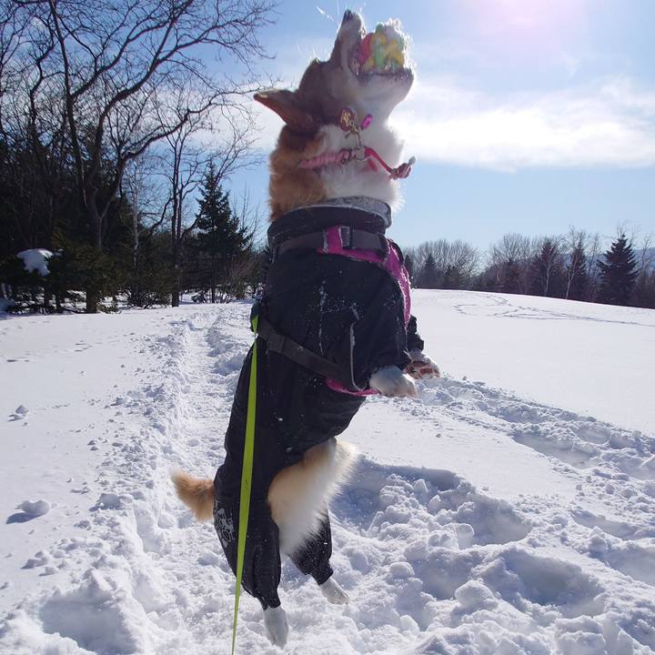 7e83f738 c520 46e4 aa5f e4e05f01eb5e 1770519448008